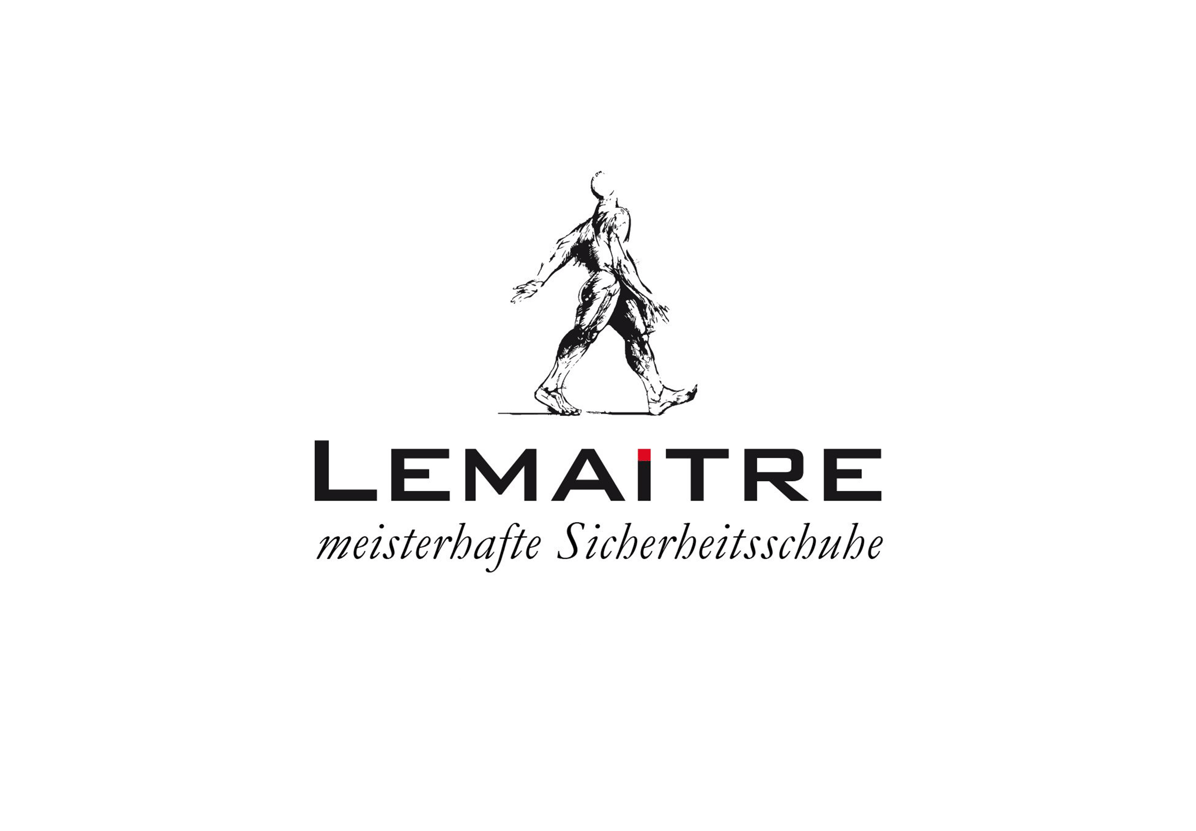 Logo von Lemaitre
